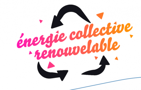 logo mandat Carine Chesneau energie collective renouvelable cjd Nantes